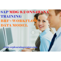 SAP MDG 9.2 ON S4HANA TRAINING VIDEOS